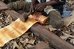 Bark cloth image