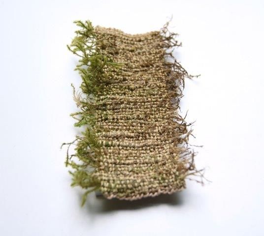 Photo 7 for Weaving the Land