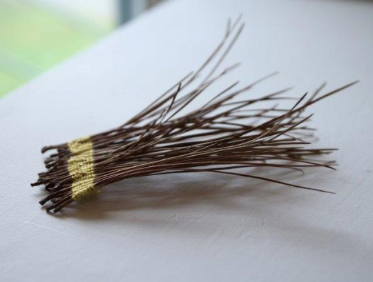 Photo 8 for Weaving the Land