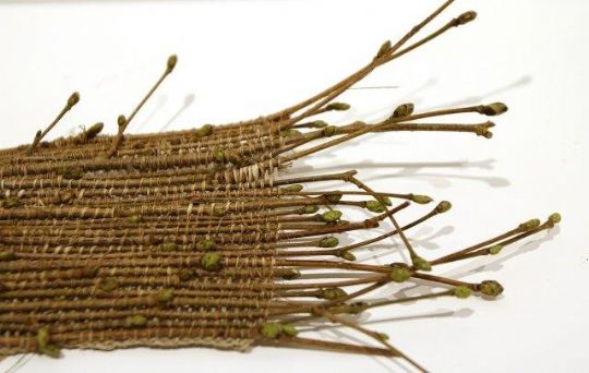 Photo 5 for Weaving the Land