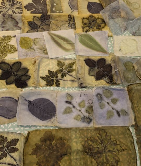 An Introduction to ecoprinting