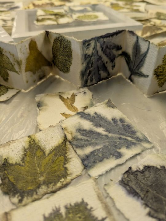 Photo 3 for An Introduction to ecoprinting