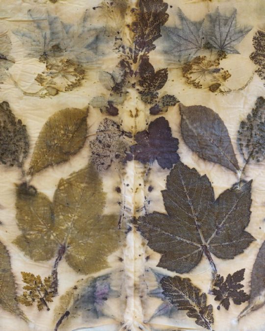 Photo 5 for An Introduction to ecoprinting